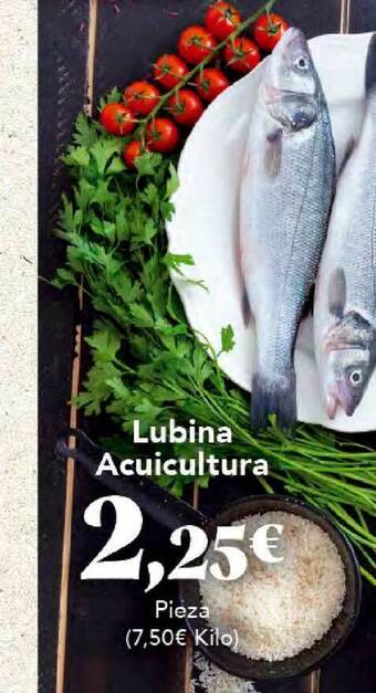 Gadis Lubina Acuicultura oferta