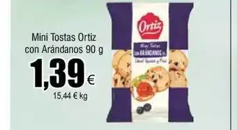 FROIZ Mini toastas ortiz con arándanos oferta