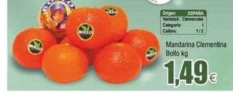 FROIZ Mandarina clementina bollo kg oferta