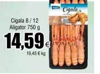 FROIZ Cigala 8 12 aligator oferta
