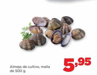 Alimerka Almeja de cultivo malla oferta