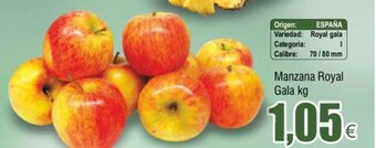FROIZ Manzana Royal Gala kg oferta