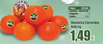 FROIZ Mandarina Clementina Bollo kg oferta