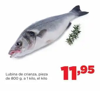 Alimerka Lubina de Crianza, Pieza De 800g. a 1 Kilo, el Kilo oferta