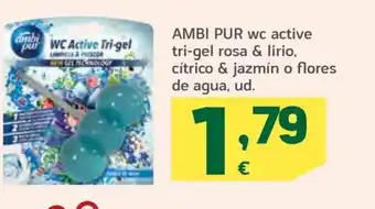 HiperDino Ambi Pur wc Active Tri-gel Rosa & Lirio, Citrico & Jazmin o Flores De Agua, ud. oferta