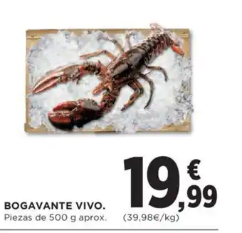 Hipercor Bogavante Vino oferta