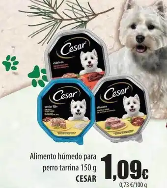 Spar Tenerife Alimento húímdo para perro tarrina cesar oferta