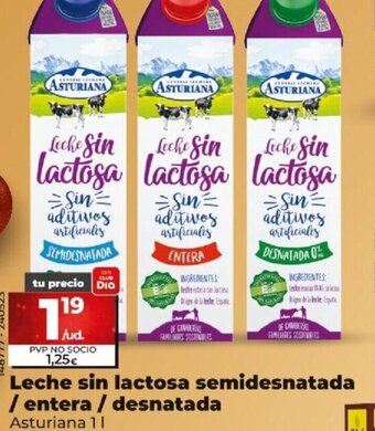 Dia Leche Sin Lactosa Semidesnatada/ Entera/ Desnatada oferta