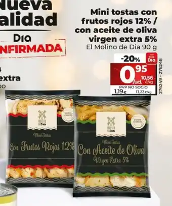 Dia Mini Tostas Con Frutos Rojos 12% / Con Aceite de Oliva Virgen Extra 5% oferta