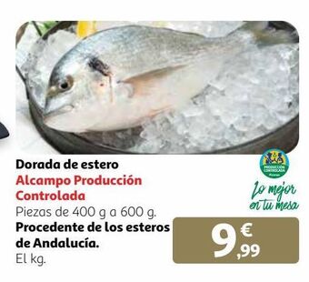 Alcampo Dorada oferta