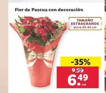 Lidl Flor de pascua con decoración oferta