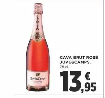 Supercor Cava brut rosé juvé & camps oferta