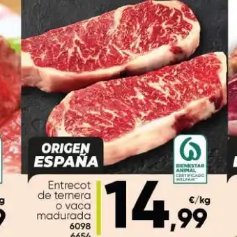 Family Cash Entrecot de ternera family cash oferta