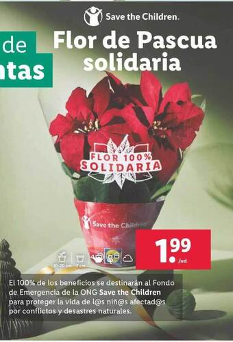 Lidl Flor de pascua solidaria oferta