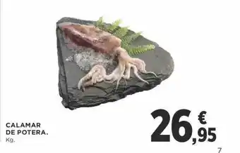 Supercor Calamar de potera oferta