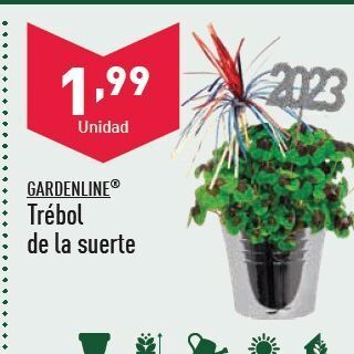 ALDI Trébol de la suerte oferta