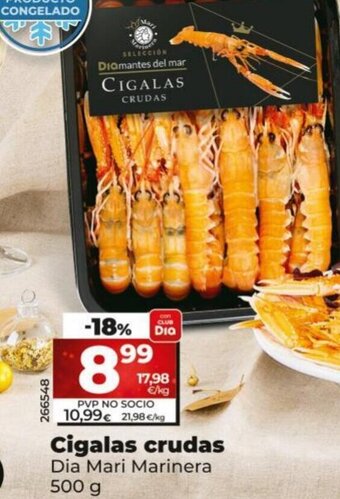 Dia Cigalas Crudas oferta