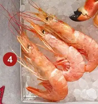 Consum Carabineros oferta