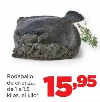 Alimerka Rodaballo de crianza de oferta