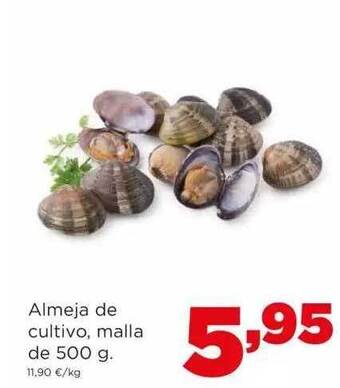 Alimerka Almeja de cultivo, malla oferta