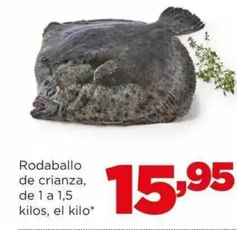Alimerka Rodaballo de crianza del el kilo oferta