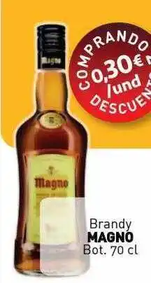 Cuevas Cash Brandy magno oferta
