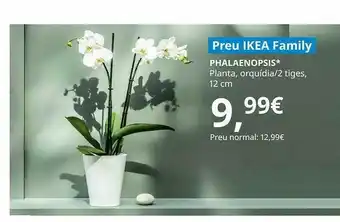 IKEA Phalaenopsis planta orquídia 2 tiges 12cm oferta
