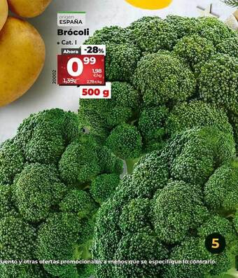 Dia Brócoli oferta
