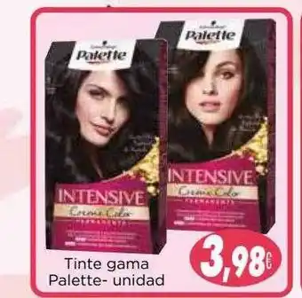 Supermercados Piedra Tinte gama palette- oferta