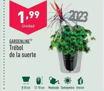 ALDI Gardenline trébol de la suerte oferta