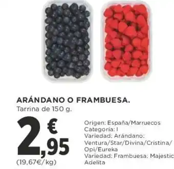 Supercor Arándano o Frambuesa 150g oferta