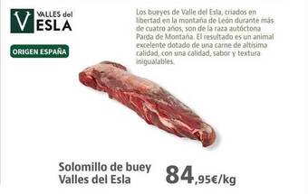 Supermercados Sánchez Romero Solomillo de buey valles del esla oferta
