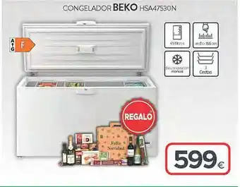 Tien 21 Congelador beko oferta