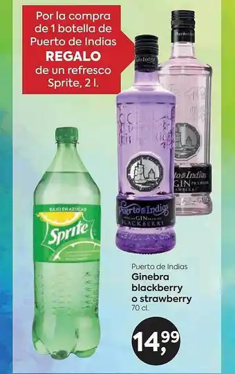 Puerto de indias ginebra blackberry o strawberry