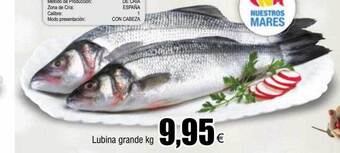 FROIZ Lubina grande kg oferta