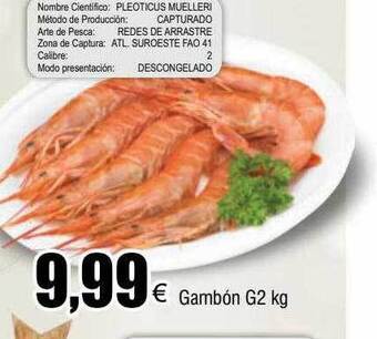FROIZ Gambón g2 kg oferta