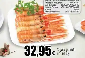 FROIZ Cigala grande oferta