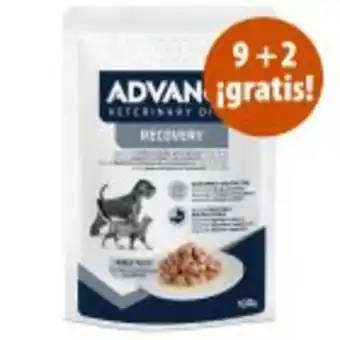 Zooplus Advance recovery veterinary diets comida húmeda en oferta: 9 + 2 ¡gratis! oferta