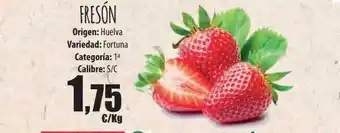 Fresón