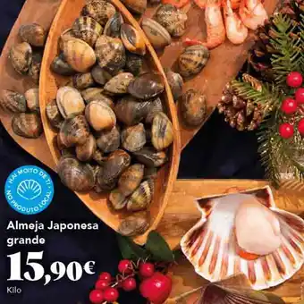 Almeja japonesa