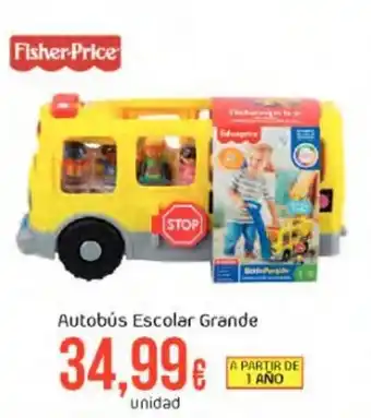 FROIZ Autobús escolar grande oferta