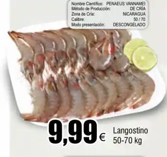 FROIZ Langostino 50-70 kg oferta