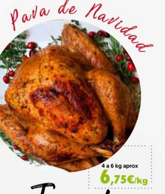 Hiper Usera Pava De Navidad oferta