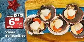 Maxi Dia Vieiras oferta