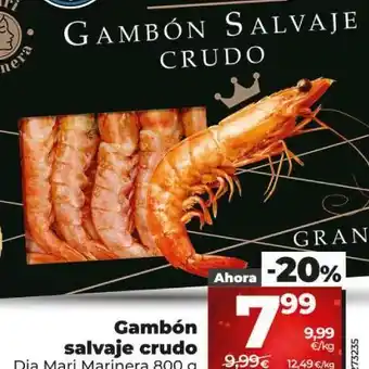 Dia Gambón salvaje oferta
