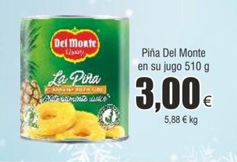 FROIZ Piña del monte en su jugo 510 g oferta