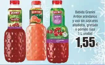 FROIZ Bebida granini antiox arándanos oferta