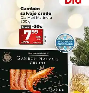 Dia Gambón salvaje crudo dia mari marinera oferta