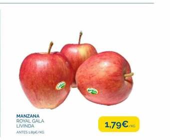 Manzana royal gala livinda