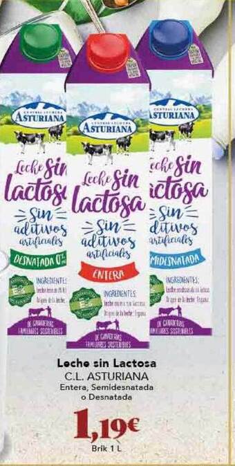 Gadis Leche sin lactosa c.l. asturiana oferta